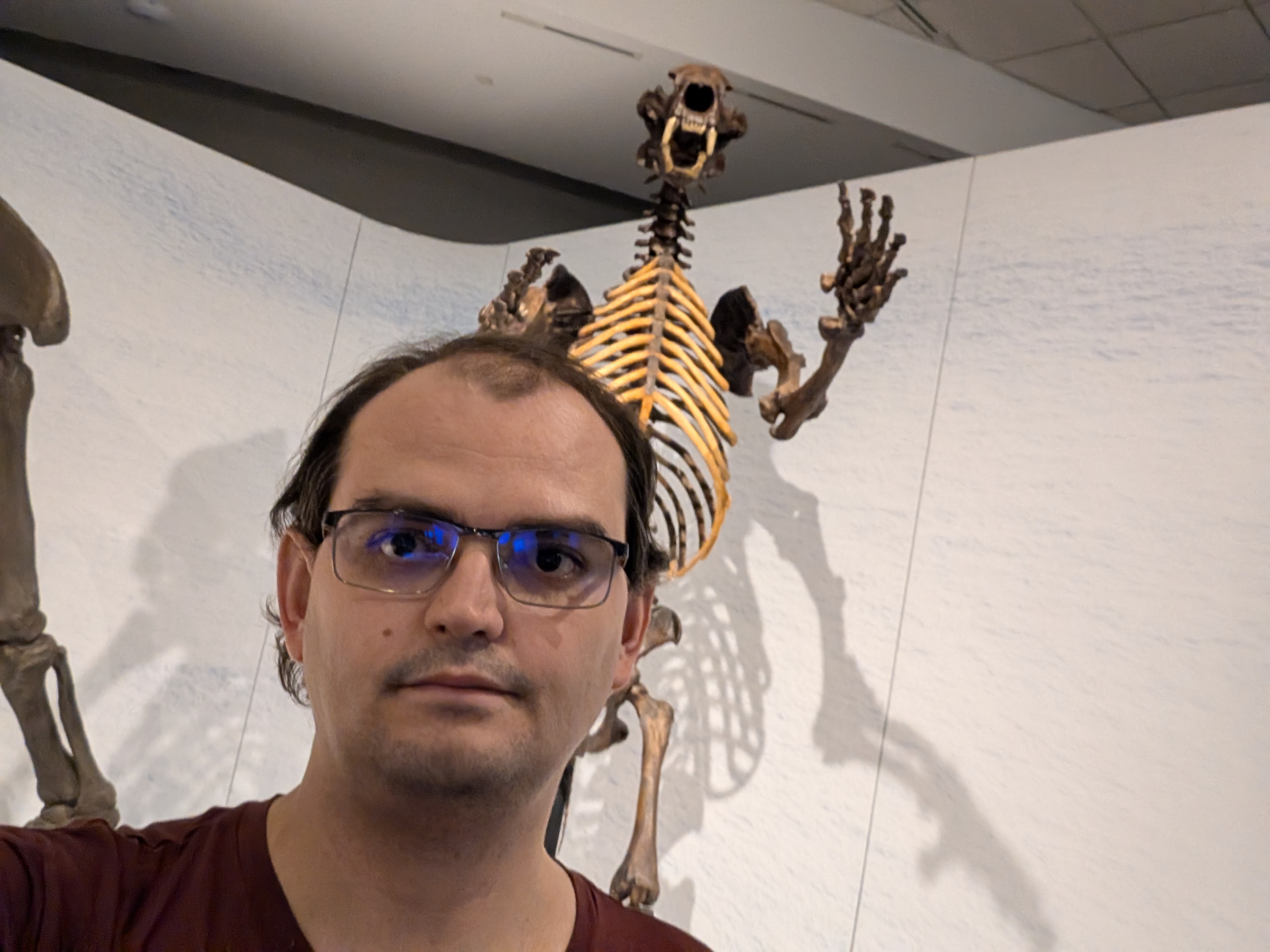 skeleton_pic.jpg